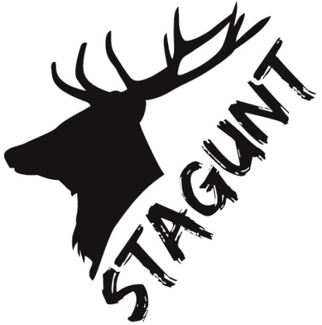 logo stagunt31